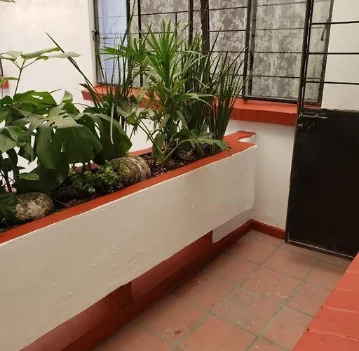 Con Terraza Privada Mexico City
