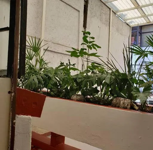 Con Terraza Privada Mexico City